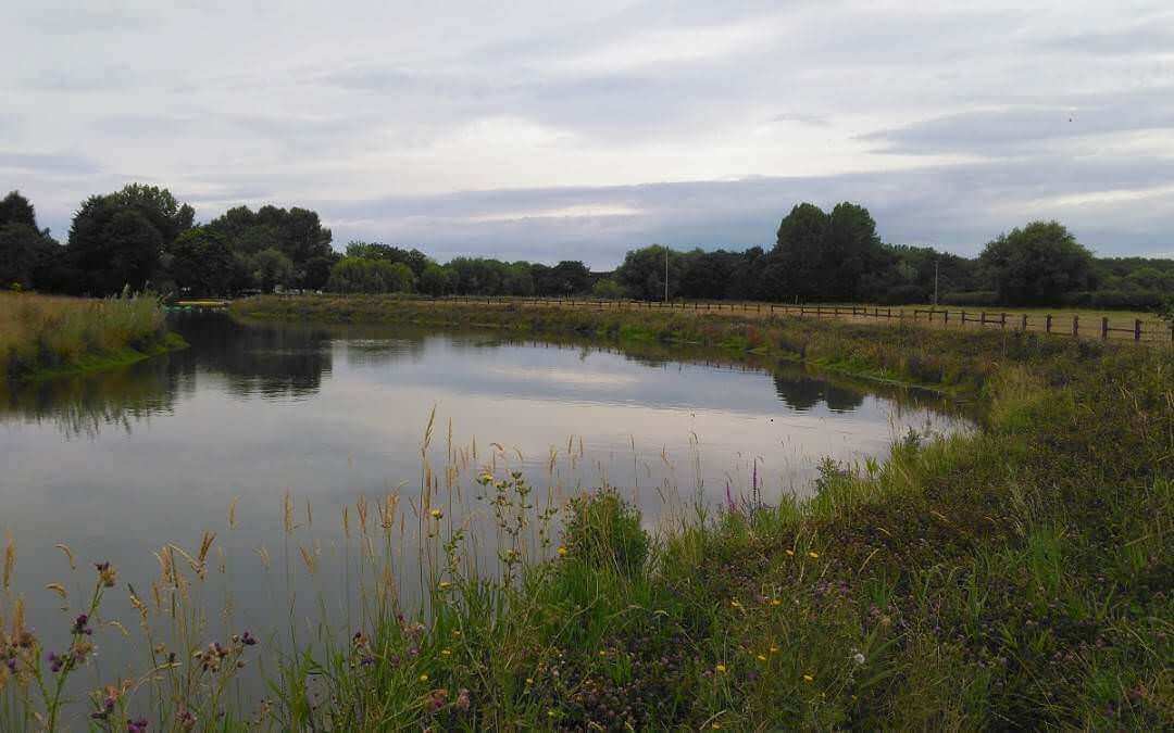 Pershore hydro scheme enhancing biodiversity