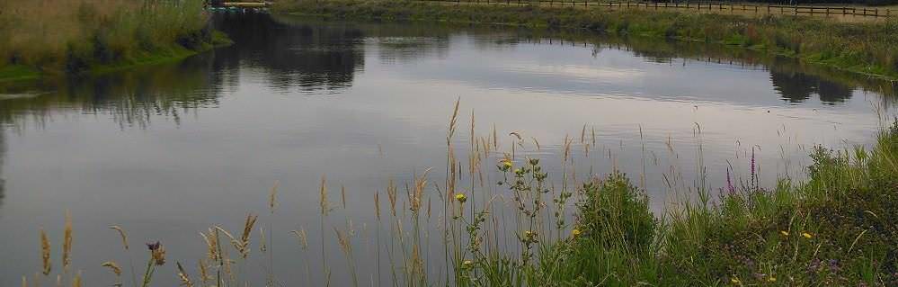 Pershore hydro scheme enhancing biodiversity