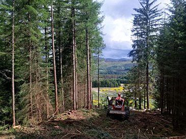 Ground clearance for penstock