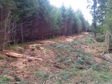 Penstock route through forest