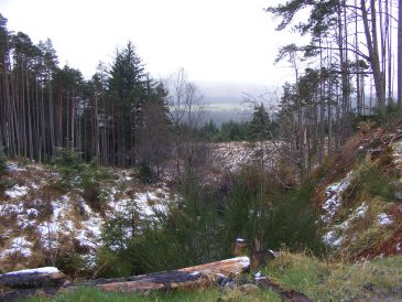 Allt na Feara Forestry Commission Hydro