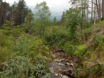 Allt na Fearna Hydropower