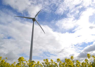 wind turbine case study