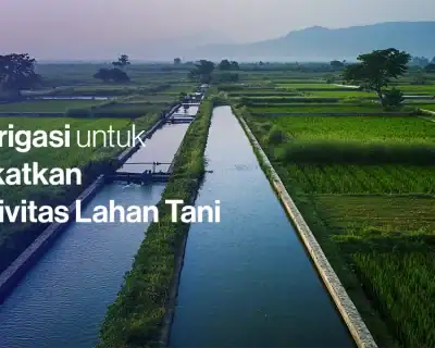 5 Jenis Irigasi untuk Meningkatkan Produktivitas Lahan Pertanian