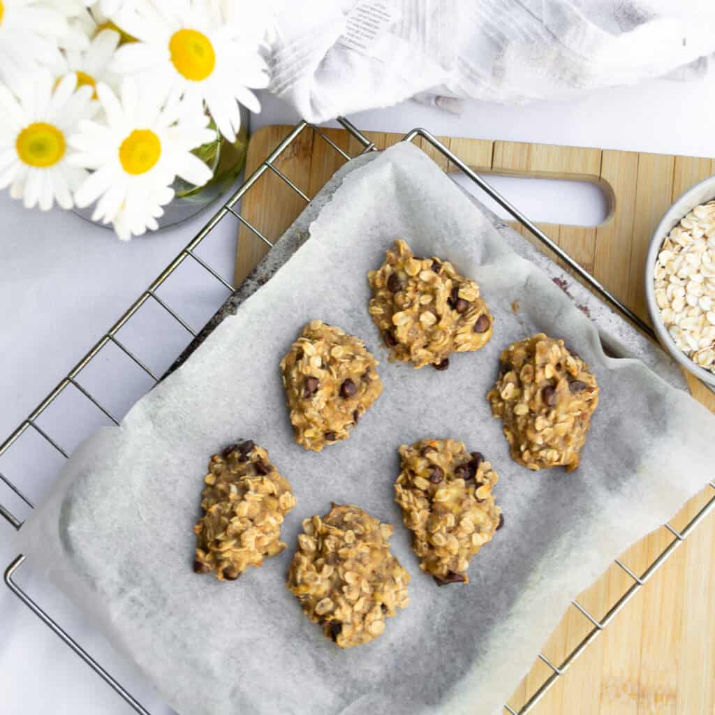 Rich oatmeal energy bites with chocolate chips on a baking sheet. Healthy, no-bake snack recipe featuring oats, nuts, and chocolate, perfect for quick energizing treats.