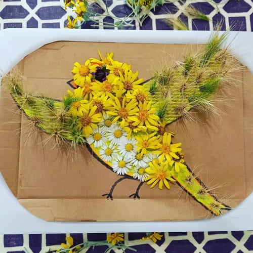 Nature Collage