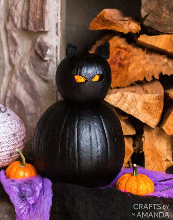 Black Cat Pumpkins
