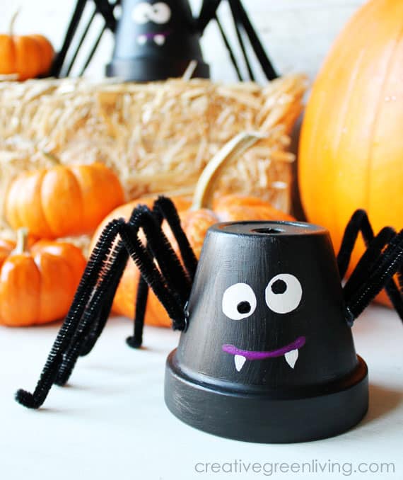 Flower Pot Spiders