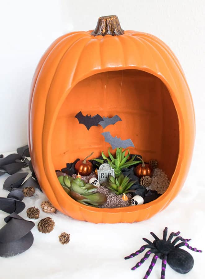 Spooky Pumpkin Terrarium