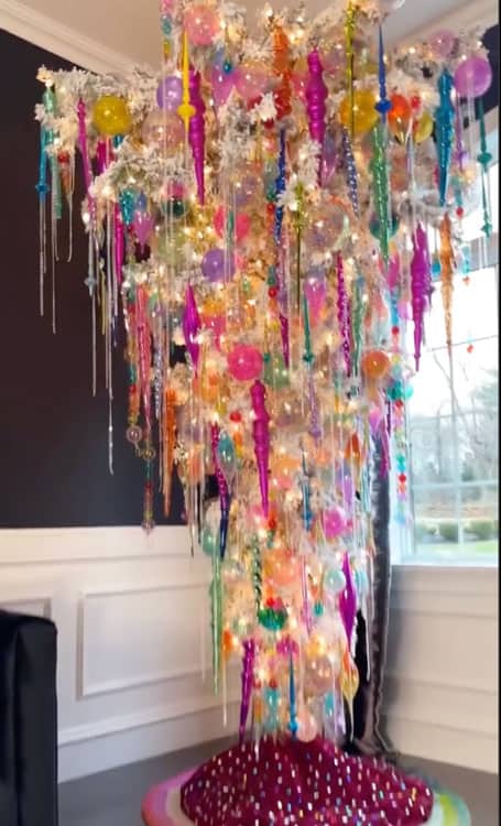 Upside Down Tree