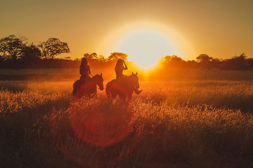 Horseback Riding