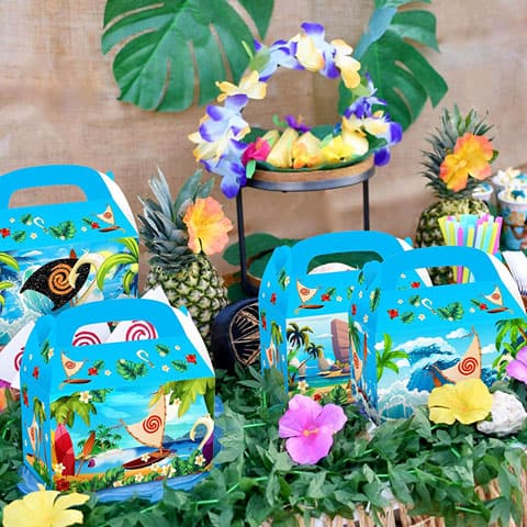Moana Party Gift Box