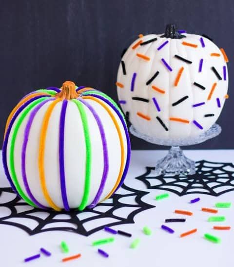 Webbed Pumpkin