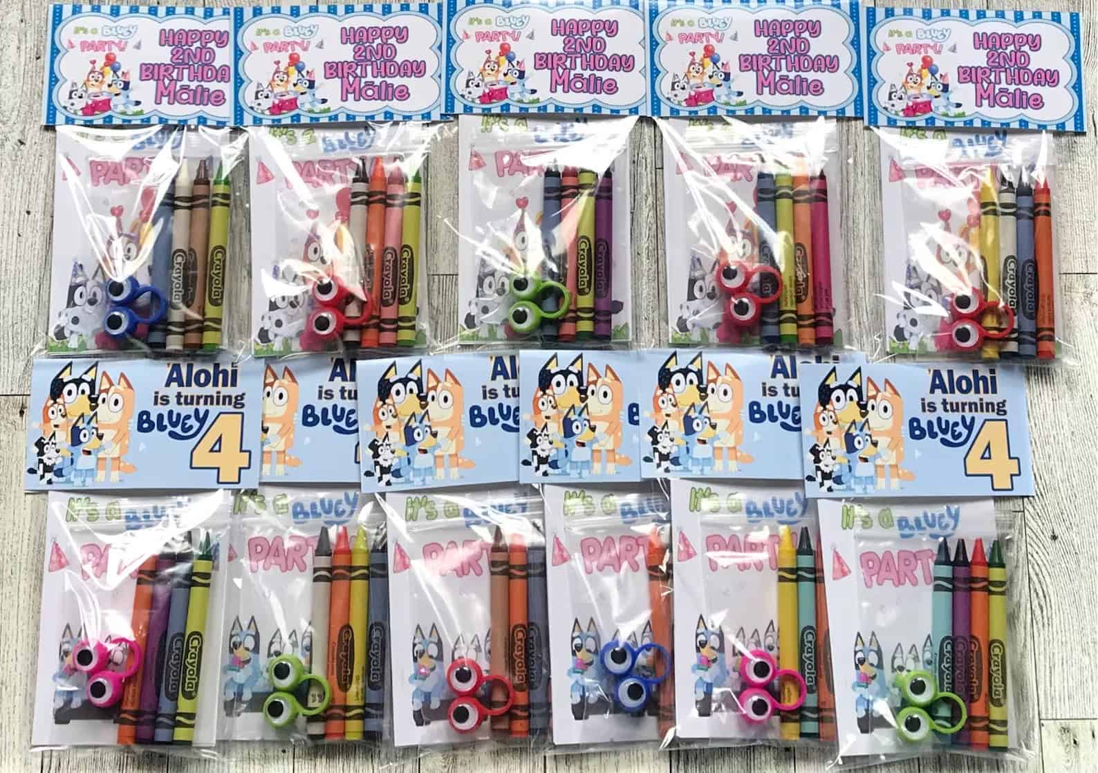 Bluey Birthday Party Coloring Book Set