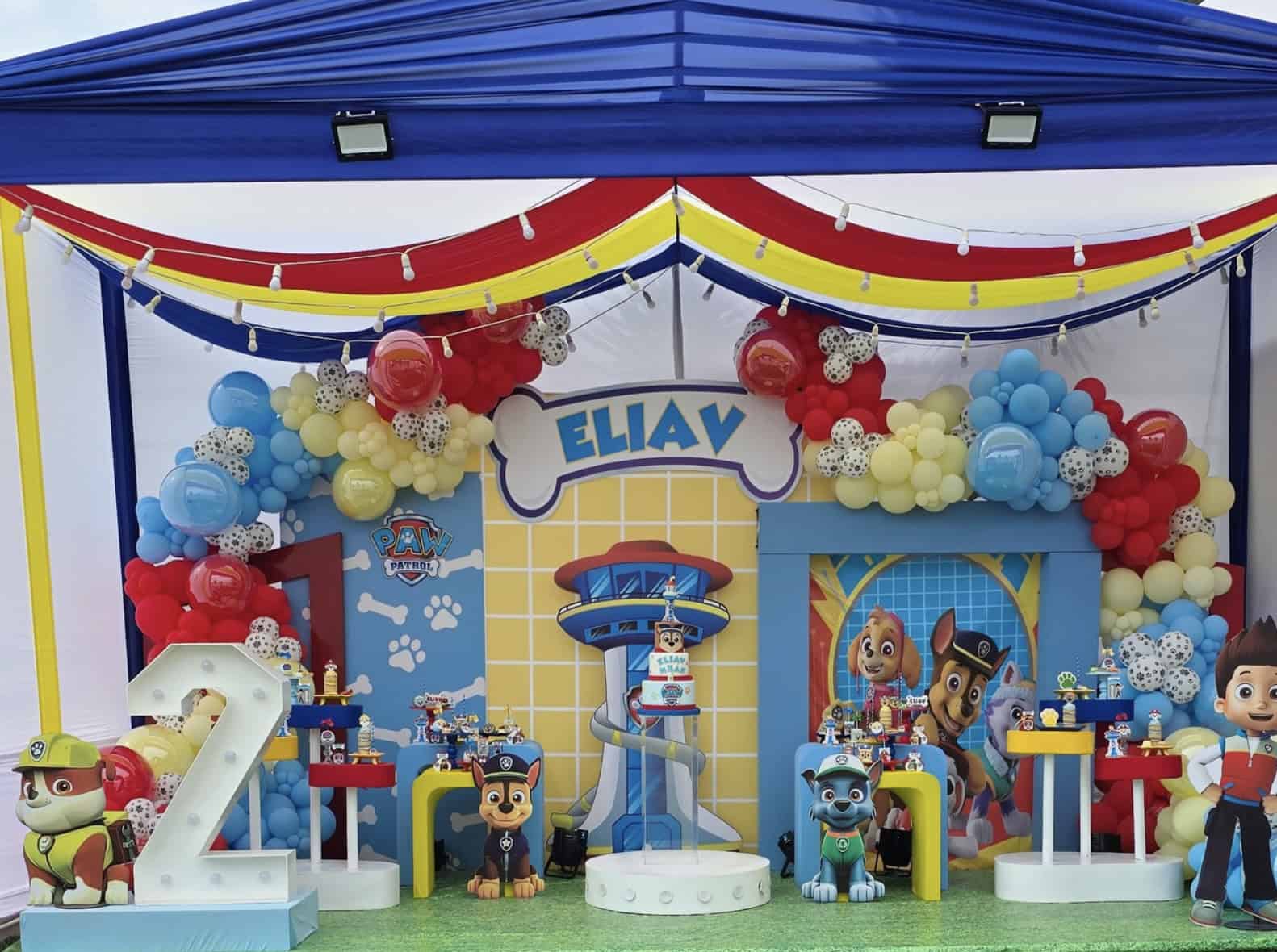 Paw Party Display