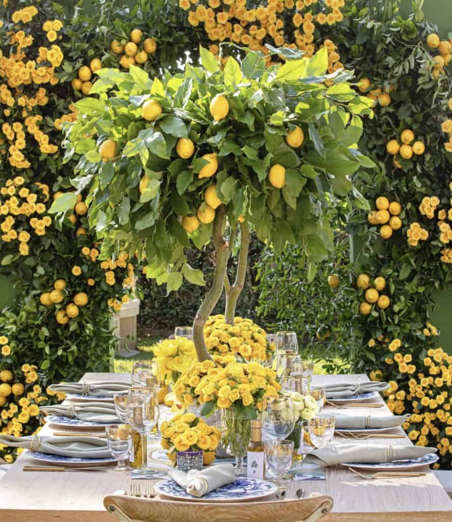 Over the top lemon party