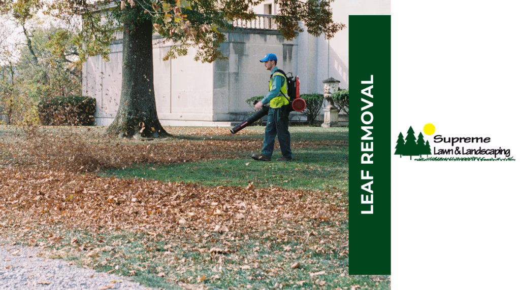 Supreme Lawn Blog(1)