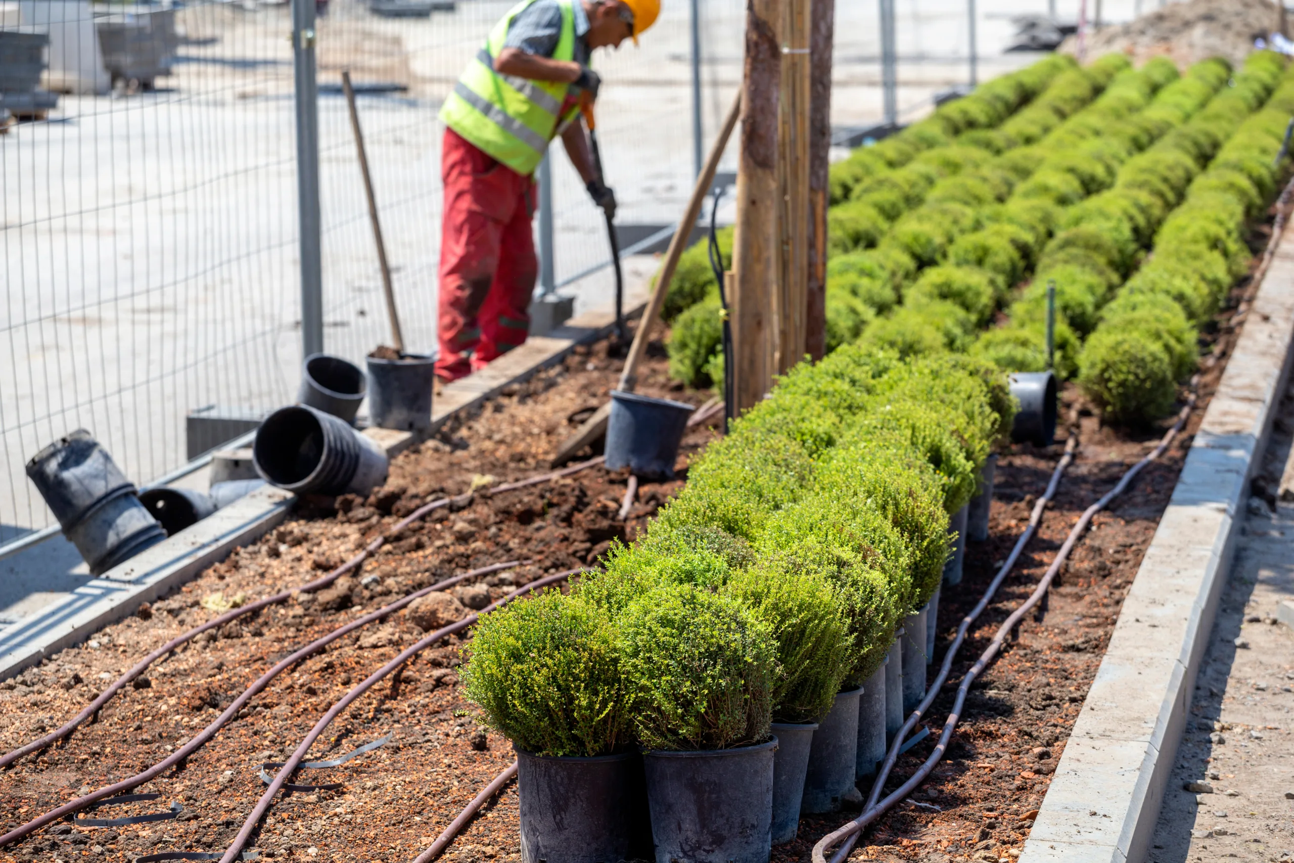 Gardener worker planting in a city park taking ca 2026 03 26 07 28 13 utc
