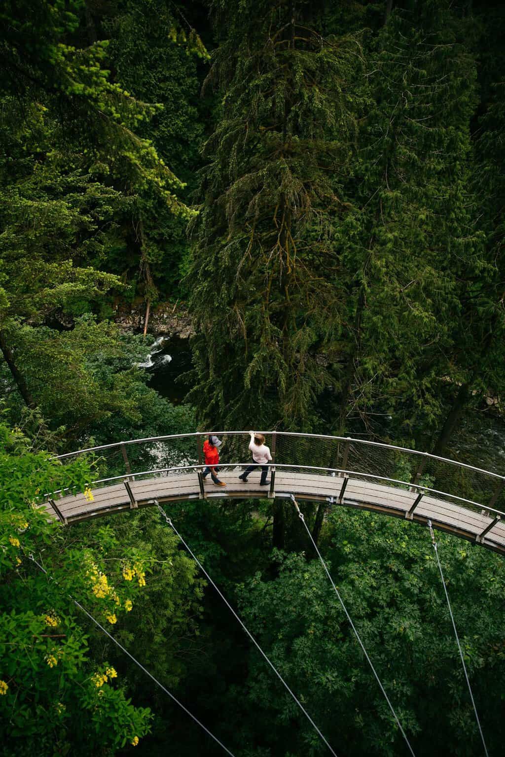Capilano Treetops Adventure Cliffwalk private tour