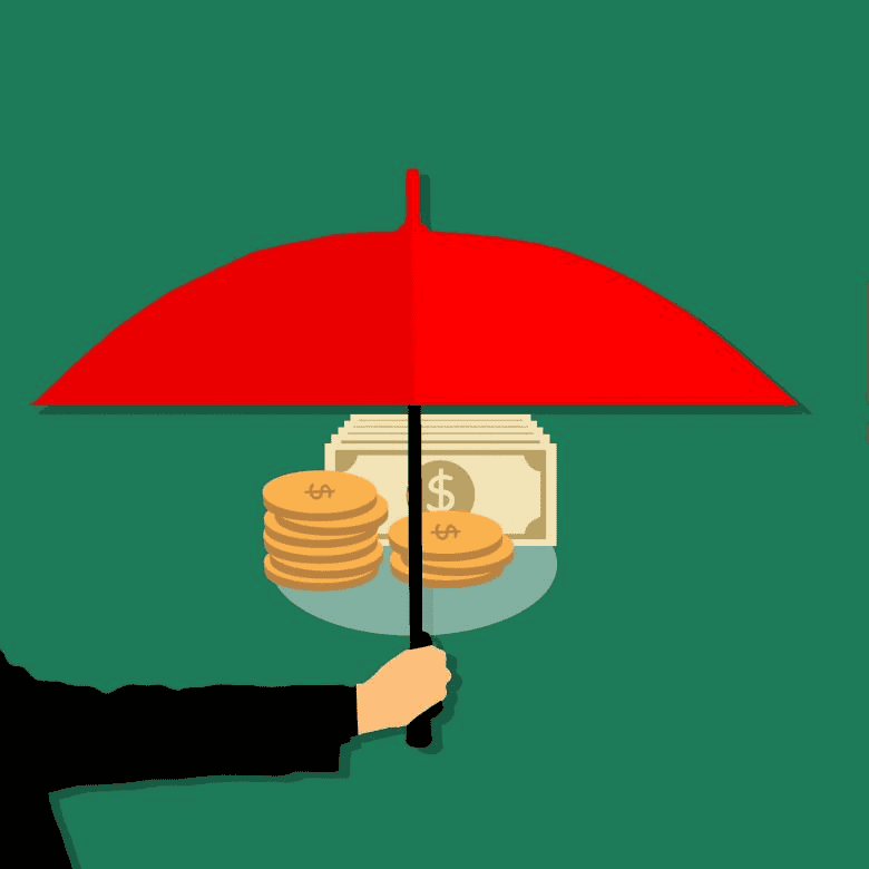 Revenue Protection