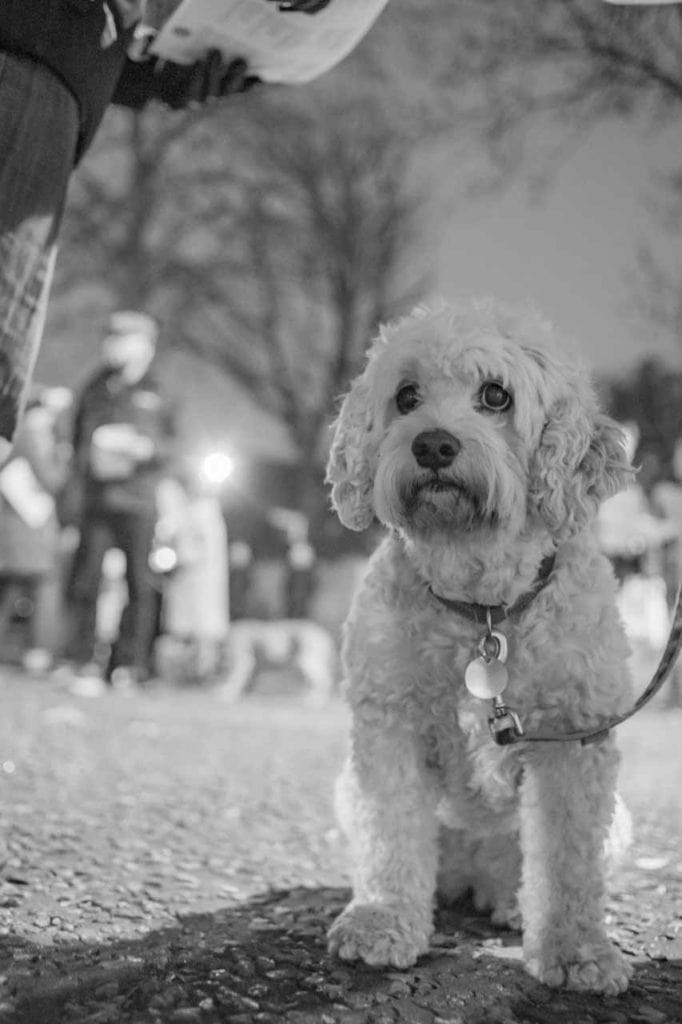 Champion Grove Camberwell Carol Singing London wedding photographer 211217 201552