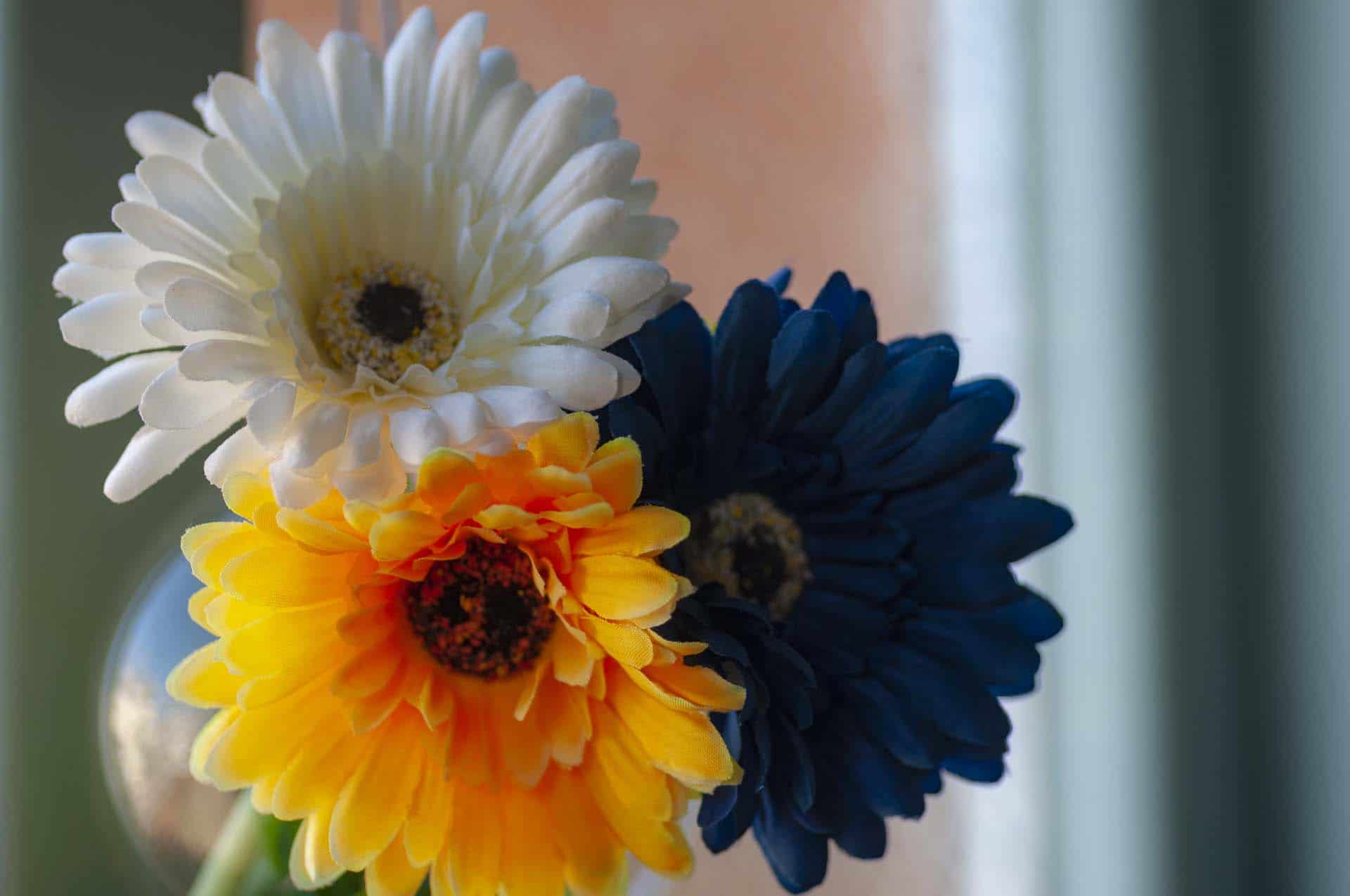 south london wedding photographer flower details camberwell 210605 095016