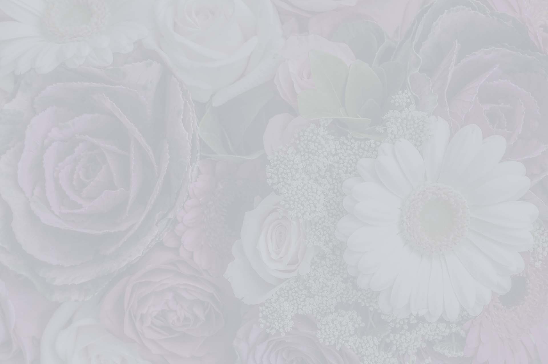 wedding album backdrop paper
