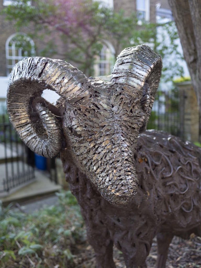 Camberwell photographer SE5 lumix 082900 the ram grove lane