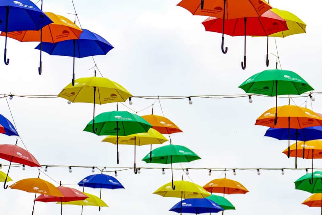 Neurodiversity Umbrella Project for Education lumix FZ1000