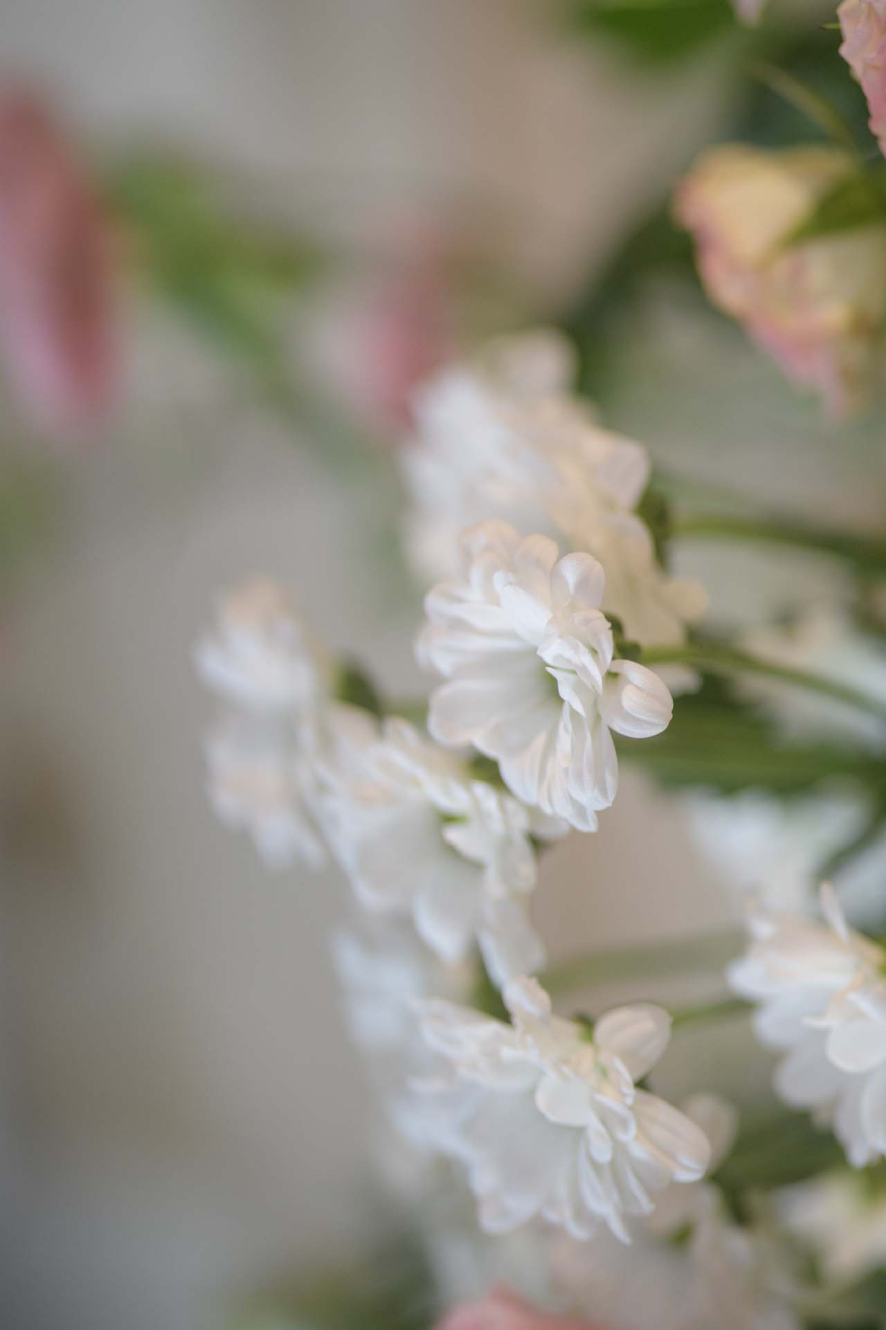 sigma 105mm f2.8 macro kent wedding photographer Ollie and Sam 230812 132407 a