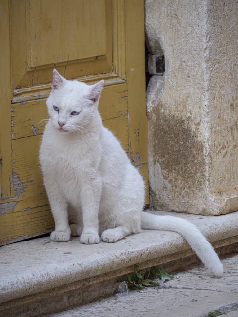 Croatia 230816 173149 web Bromley photographer
