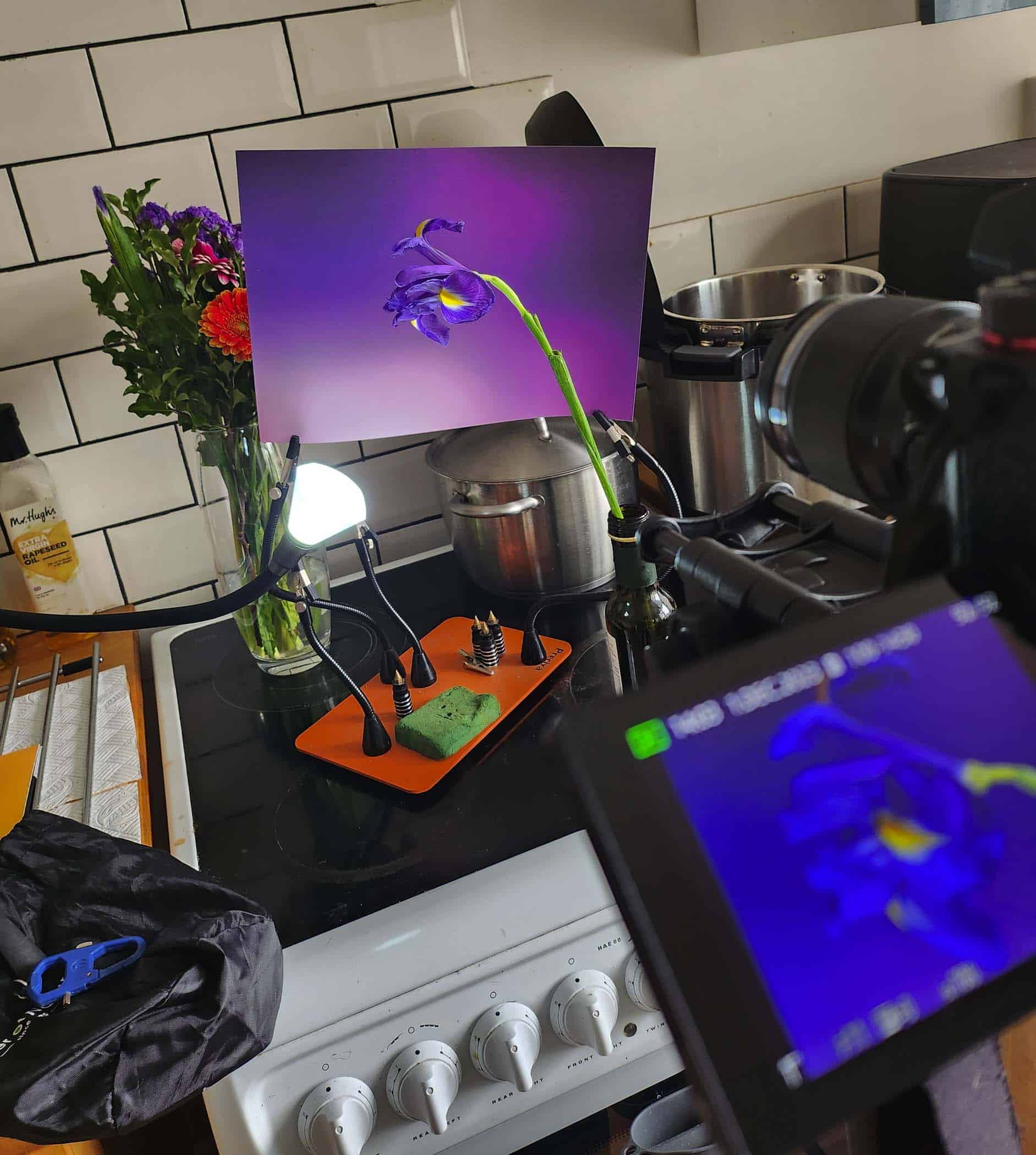 home studio lighting set up for still life Cynthia Miller guest photographer