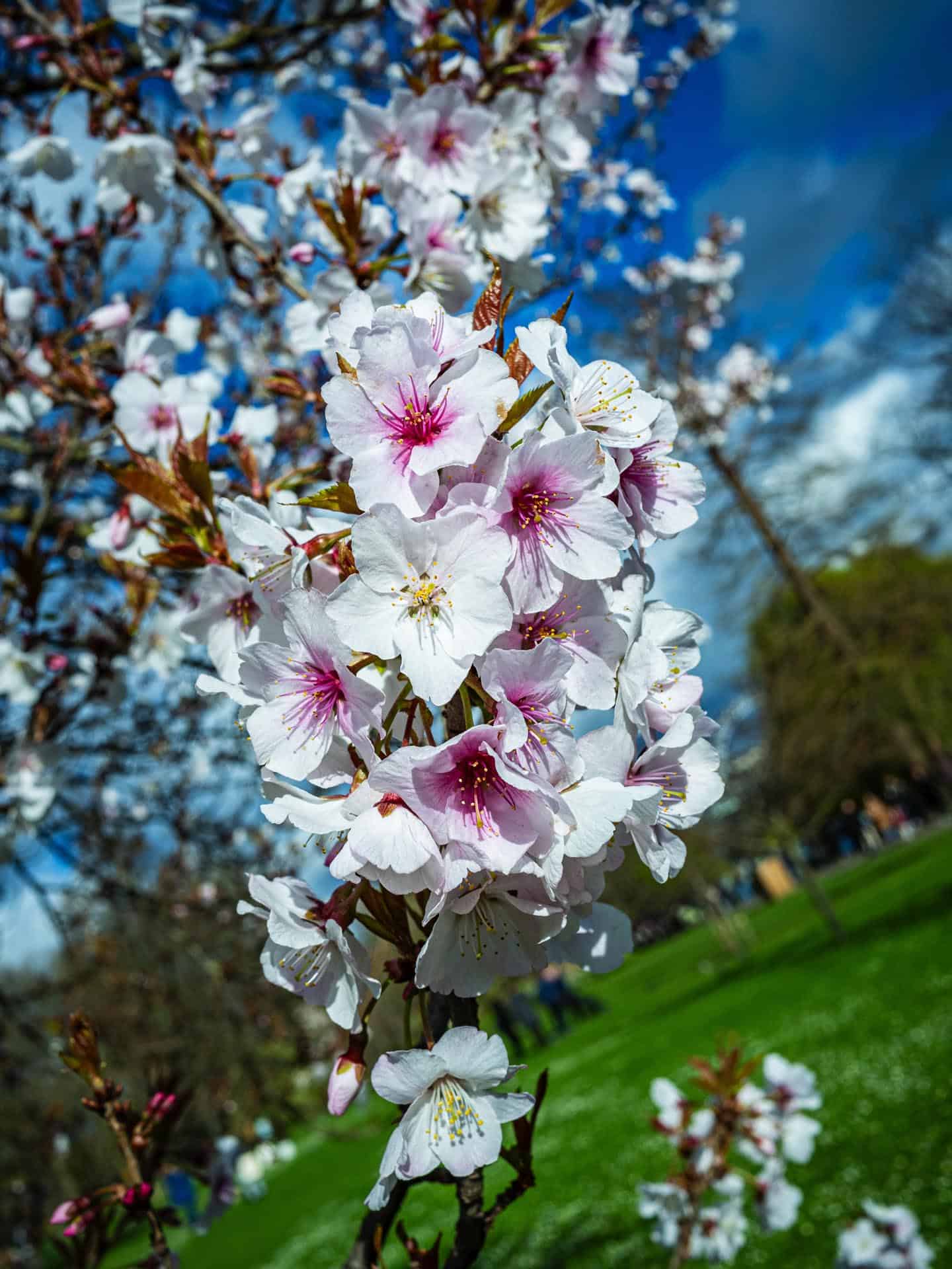 London photographer Lumix MFT 20mm holiday tourist camera wedding photographer day off 172523