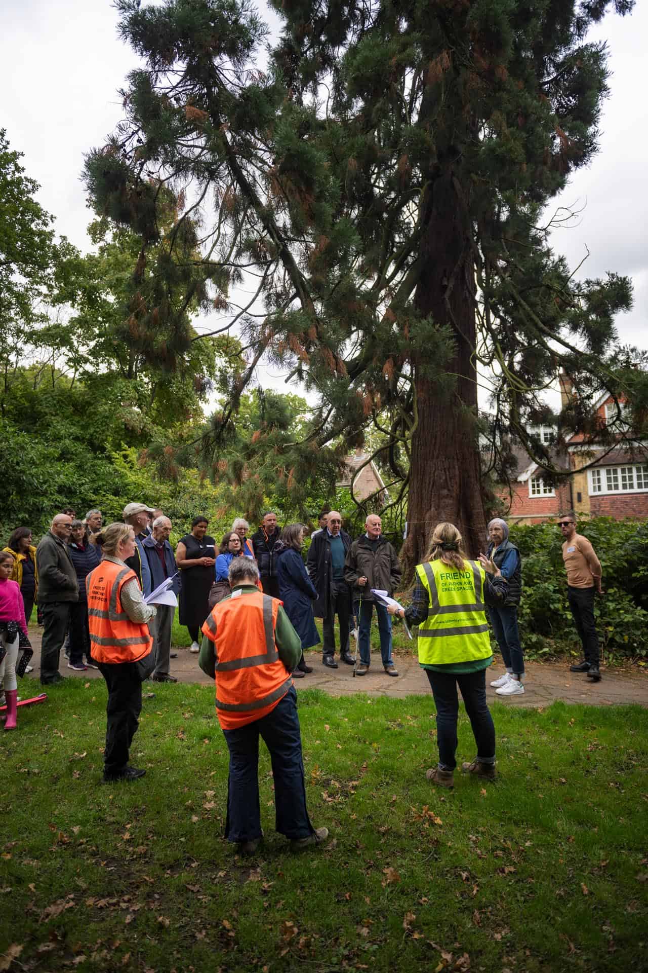 Bromley photographer local life friends of south hill wood and kingswood glen 134425
