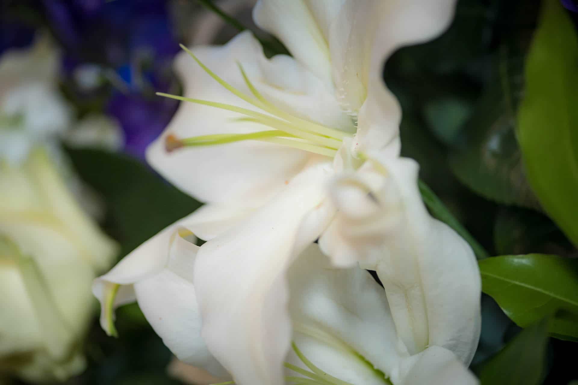 Surrey wedding photographer claygate 135156
