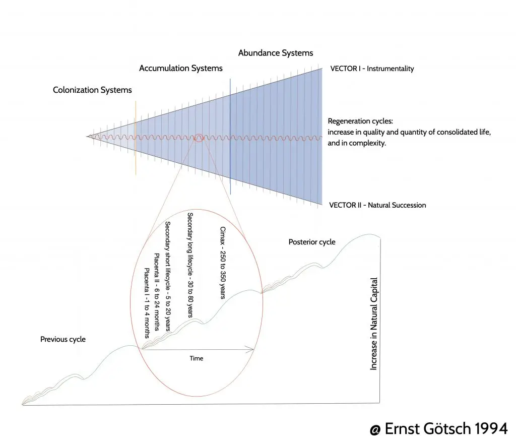 Systems Gotsch