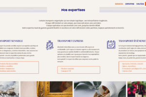 Site Transbroker - Expertises