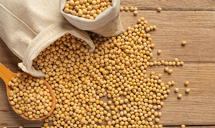 FEFAC warns of EUDR risks for EU soybean meal supply 