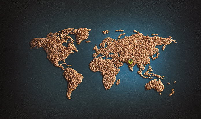 FeedTechnoVision 2026 highlights five takeaways for the feed industry