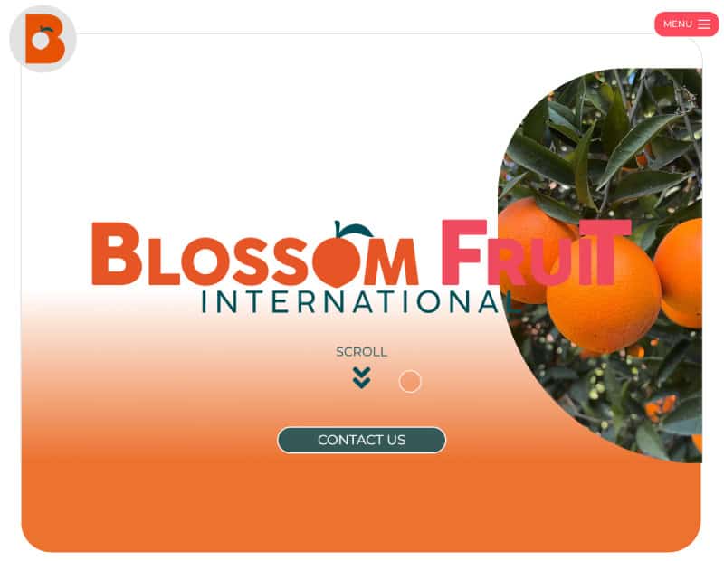 Blossom Fruit International
