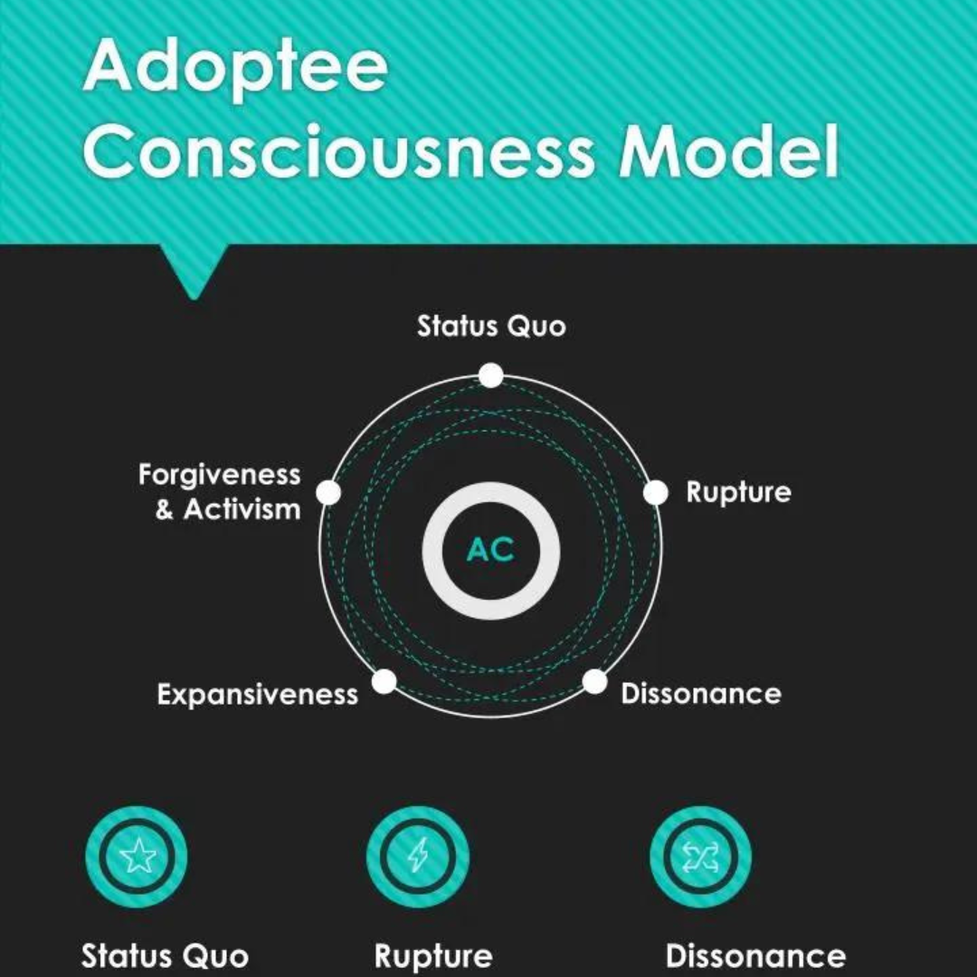 Tracing my story through the adoptee consciousness model