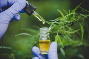 Cannabis Extract