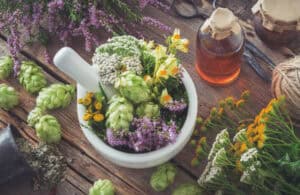 Hops Extract