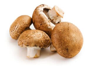 Mushroom