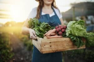 Natural and Organic Food