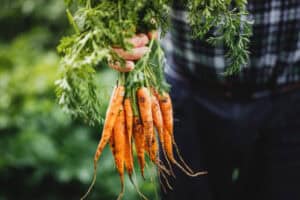 Organic Food and Beverages