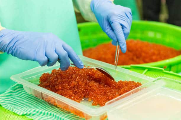 Seafood Safety Testing Market Trends and Dynamics: Strategic Industry Insights