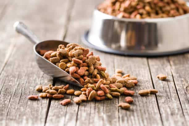 Pet Food Market In Focus: Size, Share, and Growth Trends Explored through 2035