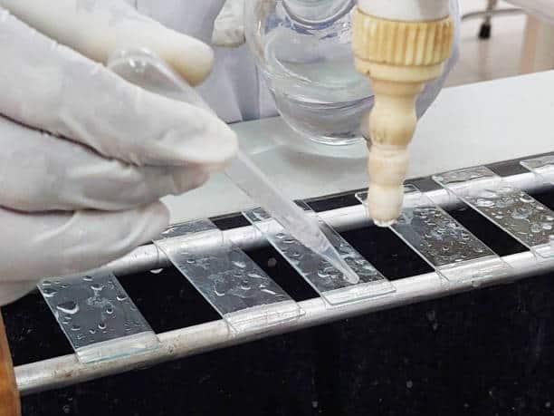Epoxy Curing Agents Market In Focus: Size, Share, and Growth Trends Explored through 2034