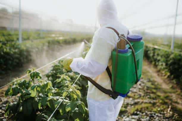 Insecticides Market Soars to New Heights: Size, Share, and Growth Analysis Extending to 2034